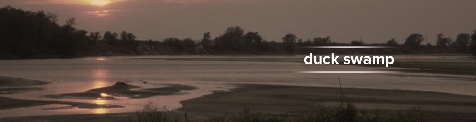 Duck Swamp