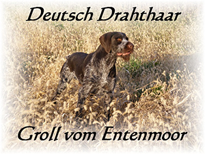 Groll Vom Entenmoor